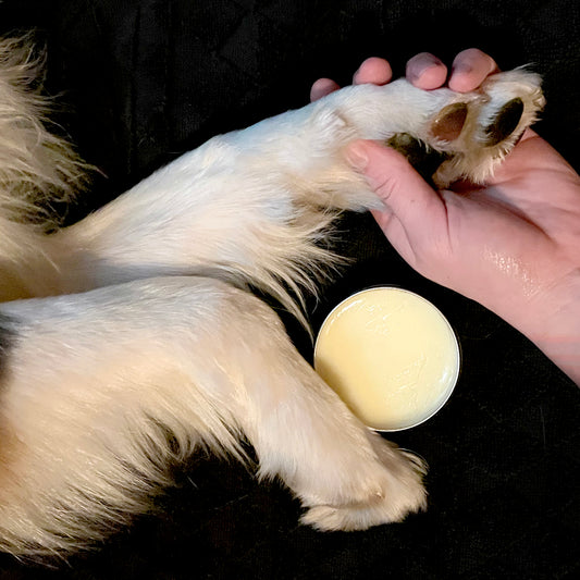 Paw Balm